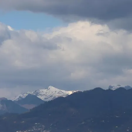 Myricae 비아레지오